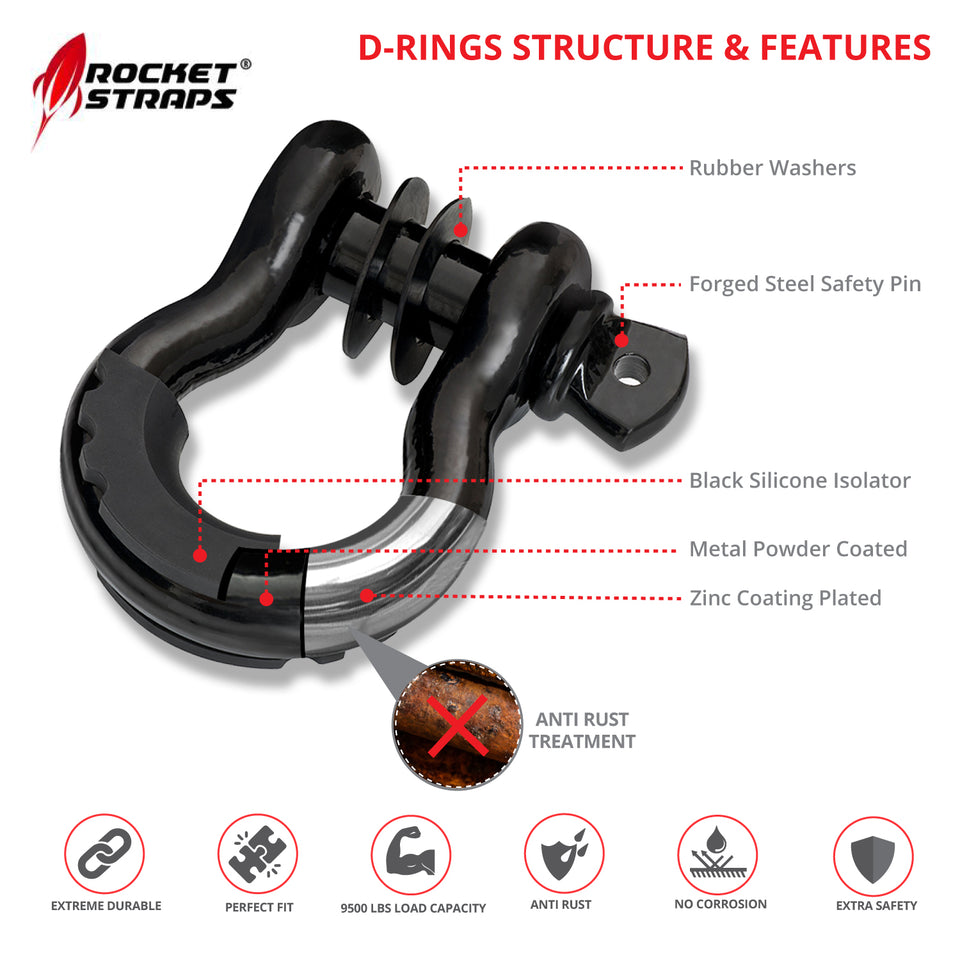 D Ring Shackles